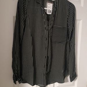 Pinstripe Dress Shirt